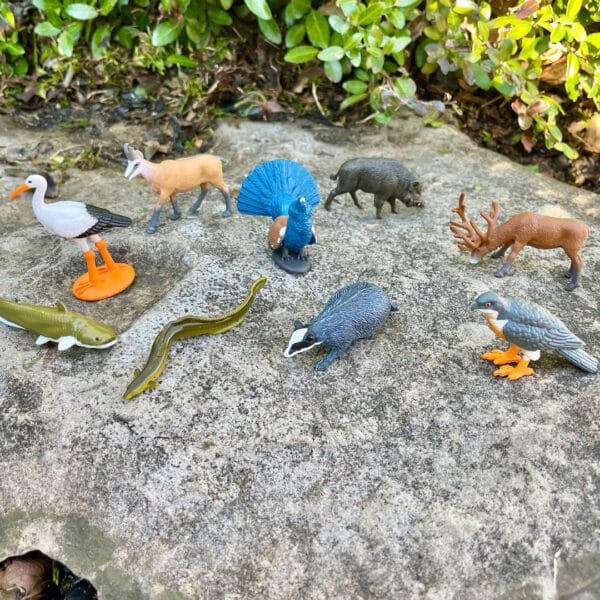 Safari Speelfiguren Toob Set - Europese Dieren 0095866102487 (3)