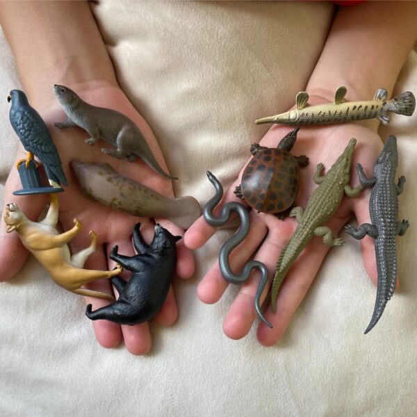 Safari Speelfiguren Toob Set - Everglades 095866103460 (1)