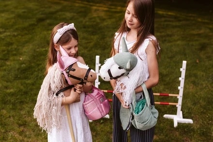 Stokpaarden Deluxe van ByAstrup bij Grasonderjevoeten (1)