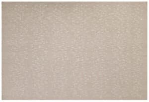 TC2080 Tapis Petit Vloerkleed Bobby 8720618800282 - (5)