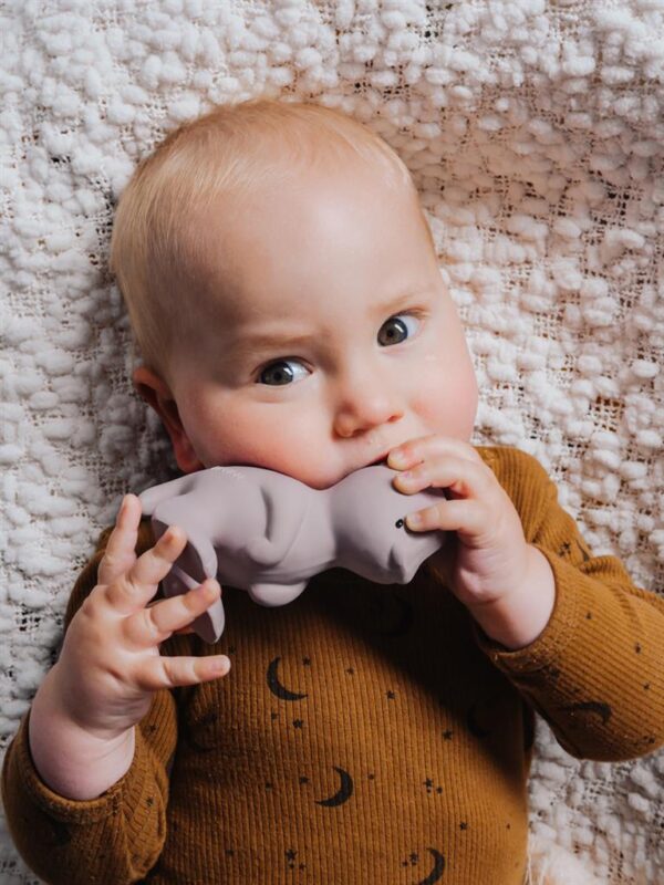Tikiri Badspeeltje Mijn Eerst Dinosaurus Para 4792247010718 - 5065064 (2)