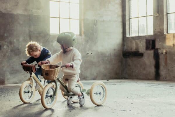 Trybike Loopfietsen en Driewielers bij Grasonderjevoeten (3)