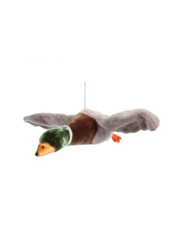 WS4500 Wild and Soft Vliegende Eend Alain 5425023072974