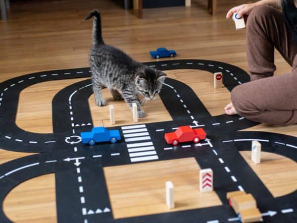 Waytoplay 40KR2HW Way to Play King of the Road - 40-delig (incl. 2 auto's) (5)