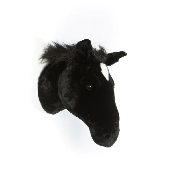 Wild and Soft Dierenkop Paard Peter Zwart 5425023079423 (1)