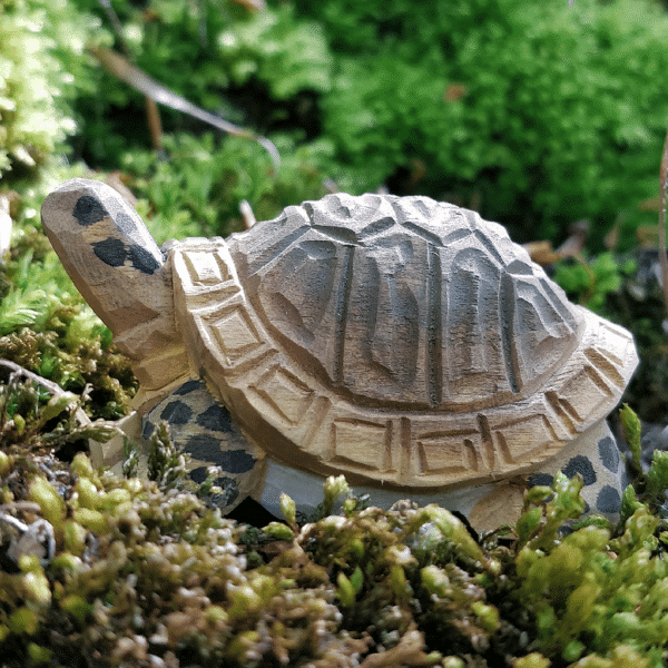 Wudimals Landschildpad 0701575407040 (1)