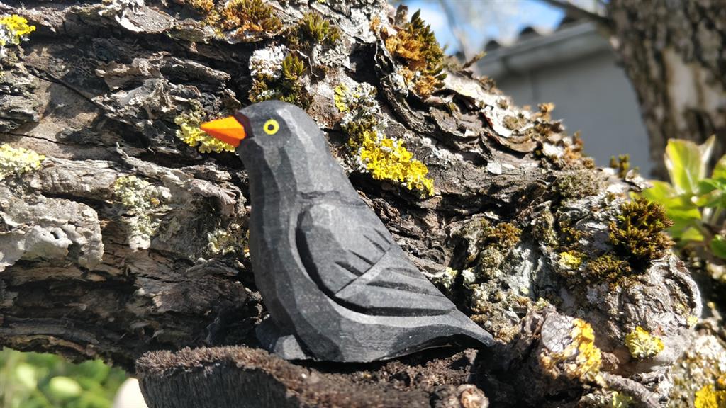 Wudimals Merel 0701575410149 (3)