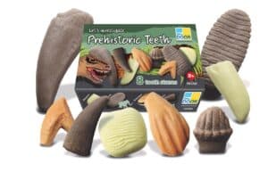 yellow door prehistorische tanden speelgoed montessori dinosaurus grasonderjevoeten.nl (2)