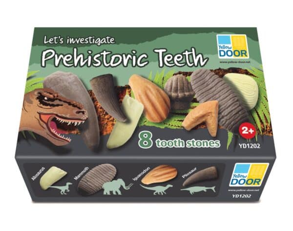 yellow door prehistorische tanden speelgoed montessori dinosaurus grasonderjevoeten.nl (3)
